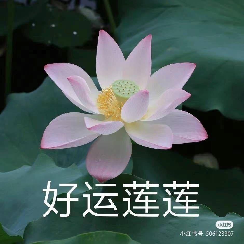 李四/.