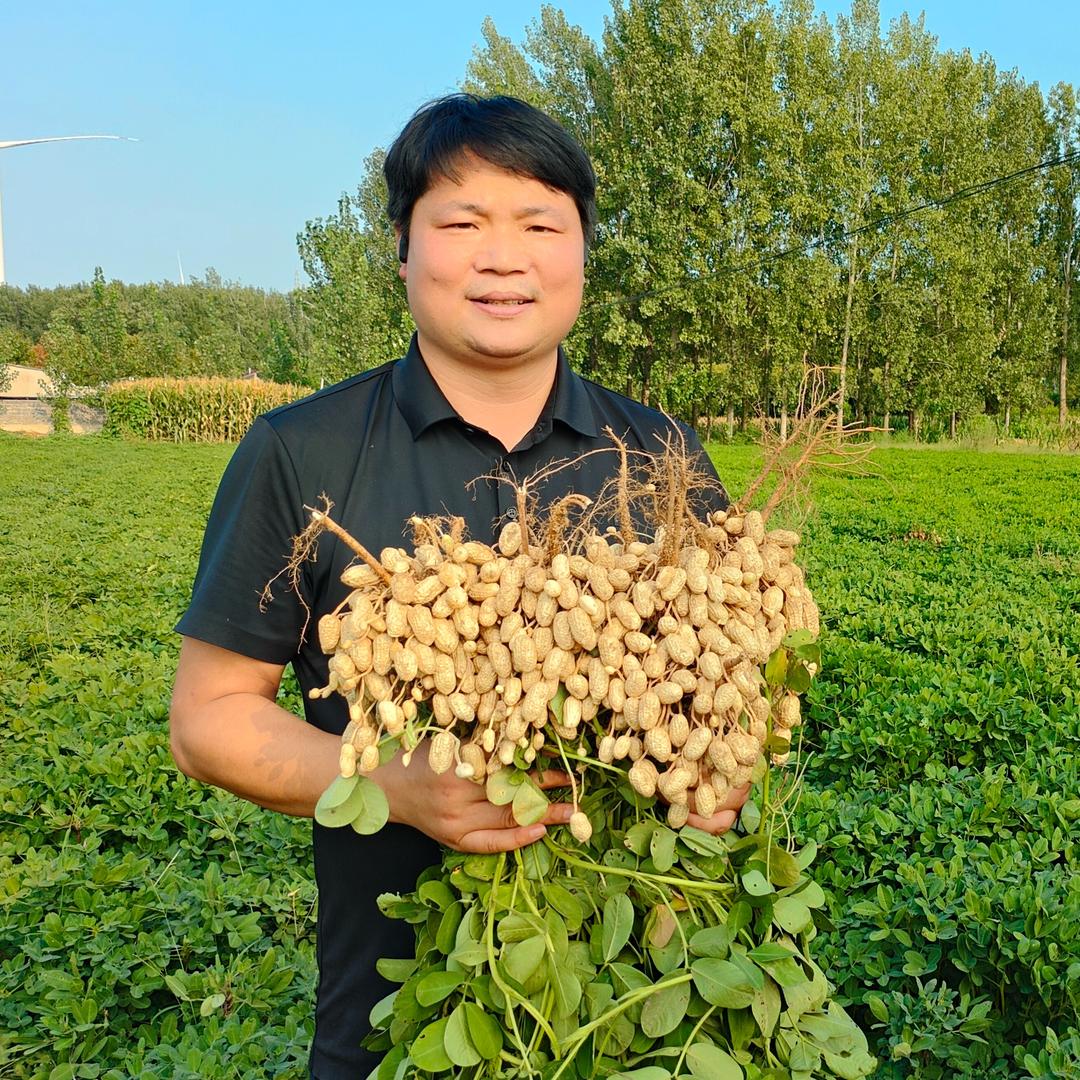 哈孚花生高产研究院