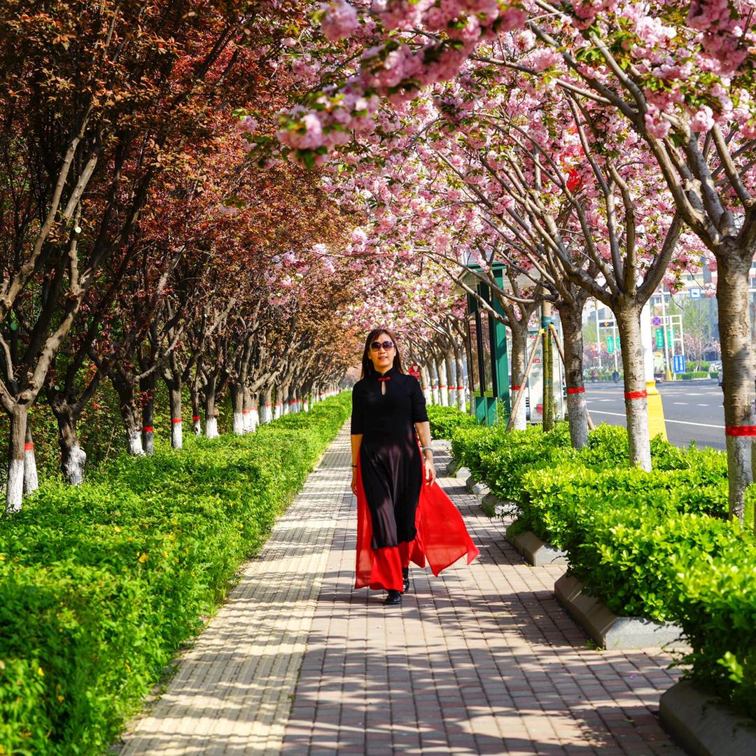 站在海边看风景
