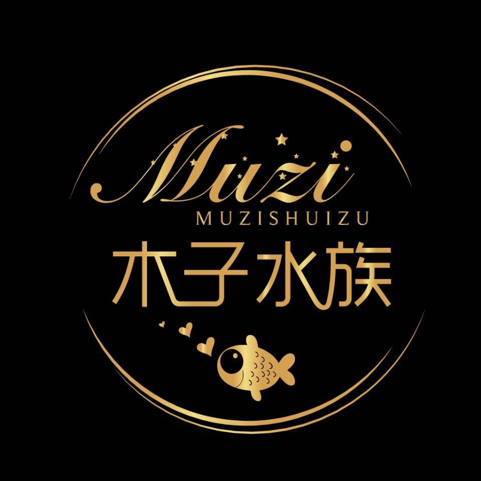木子精品水族