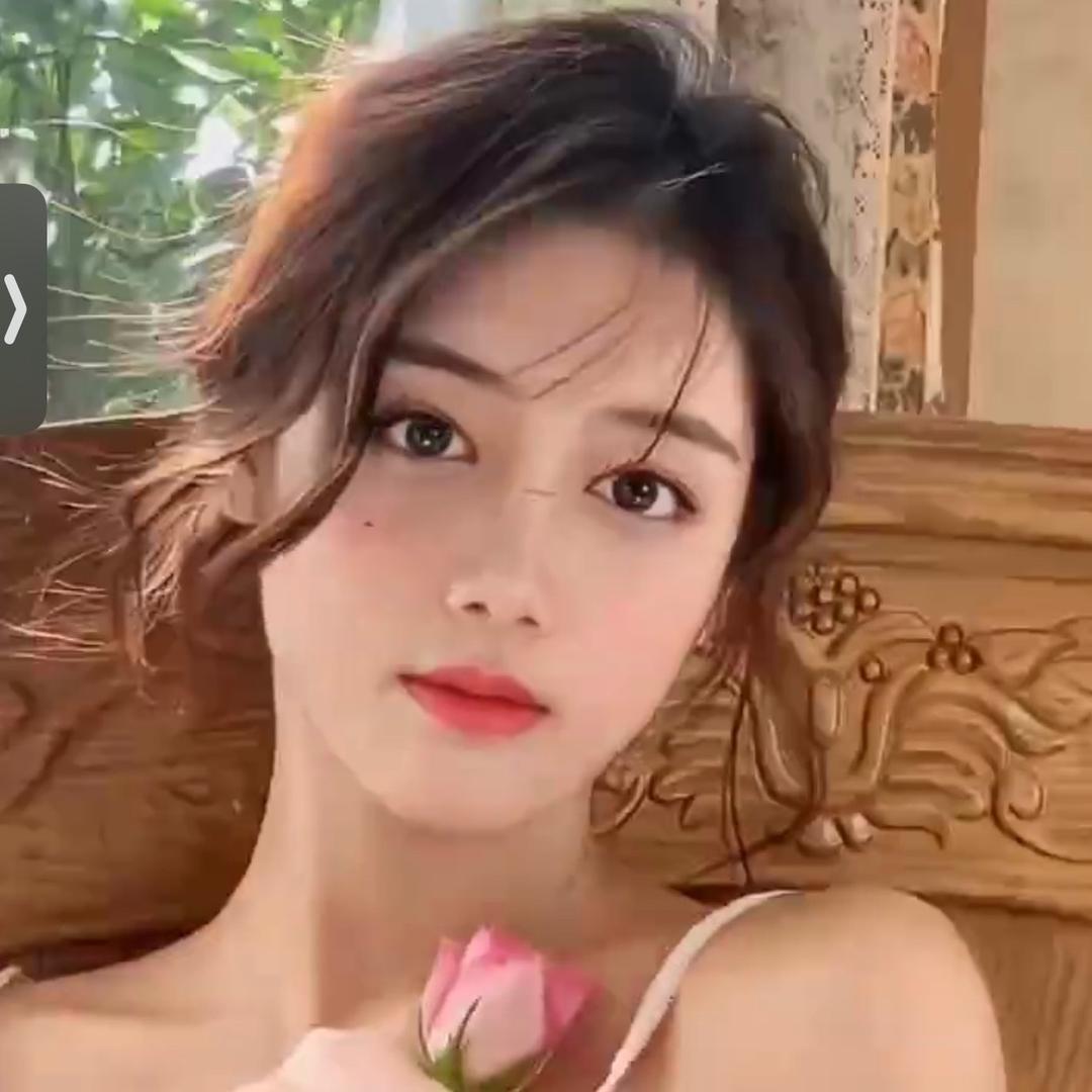 哈尼🌻