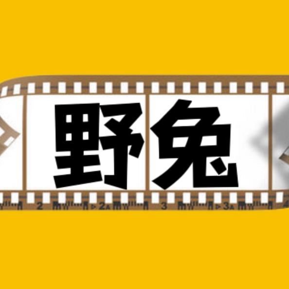 野兔追剧