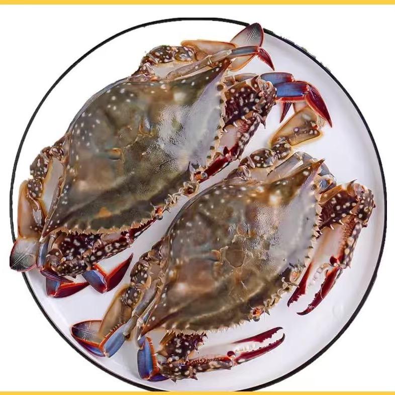 汇吃盘锦蟹专场