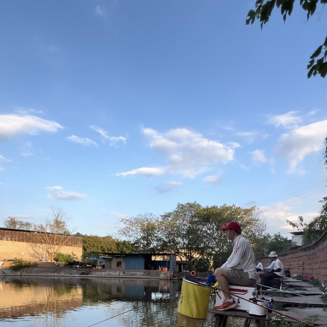 阿卢浮漂三江钓客老朱