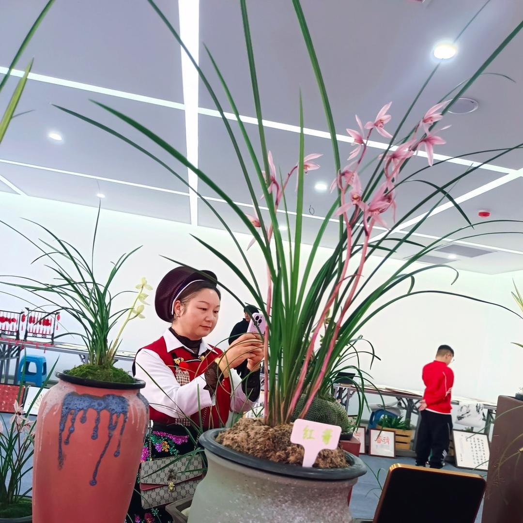 福顺兰园