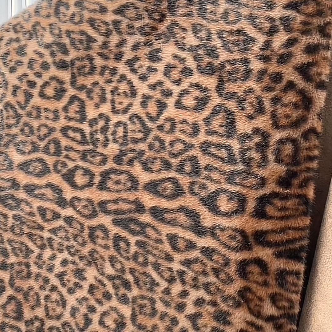 猎豹🐆……