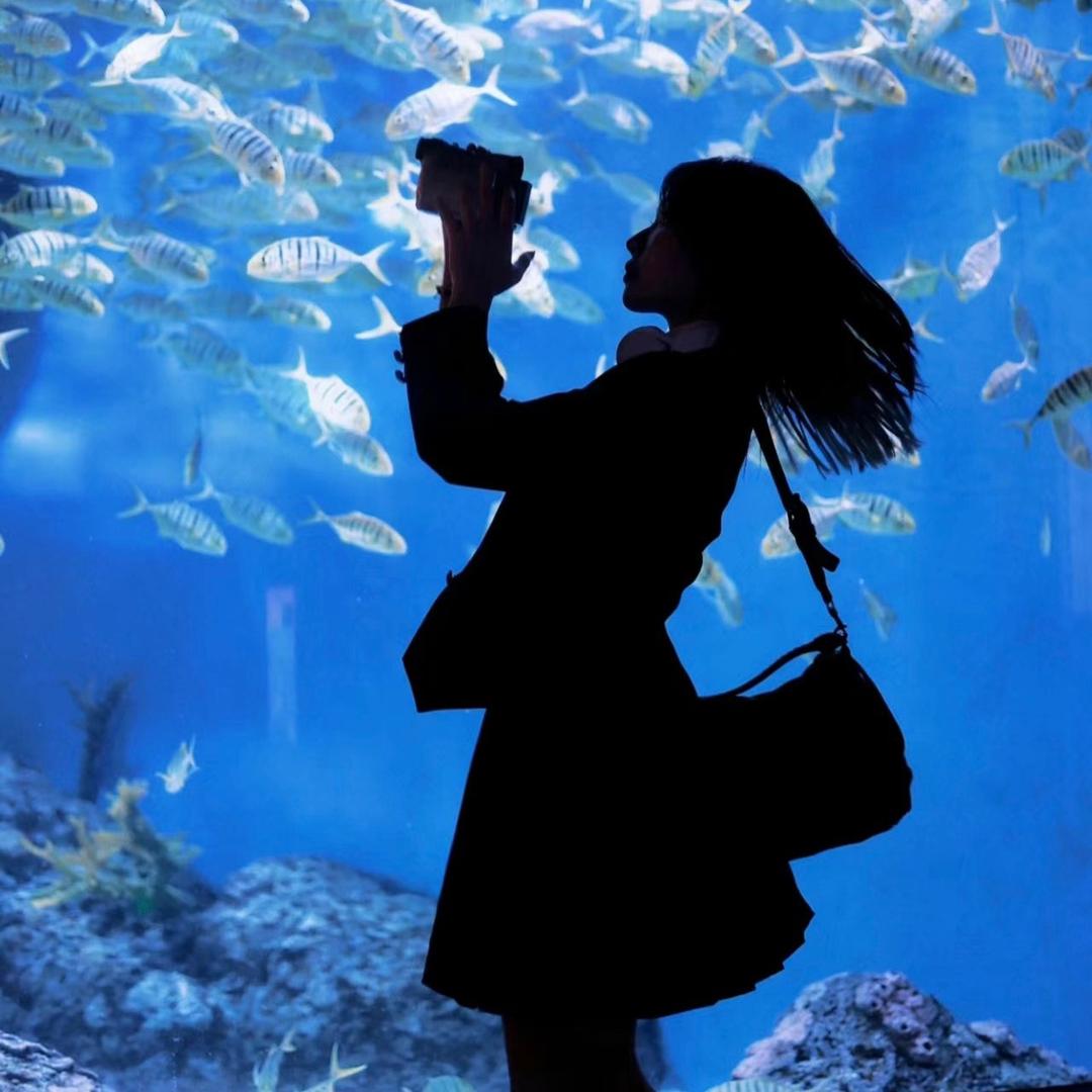 布鲁的孔雀鱼🐟