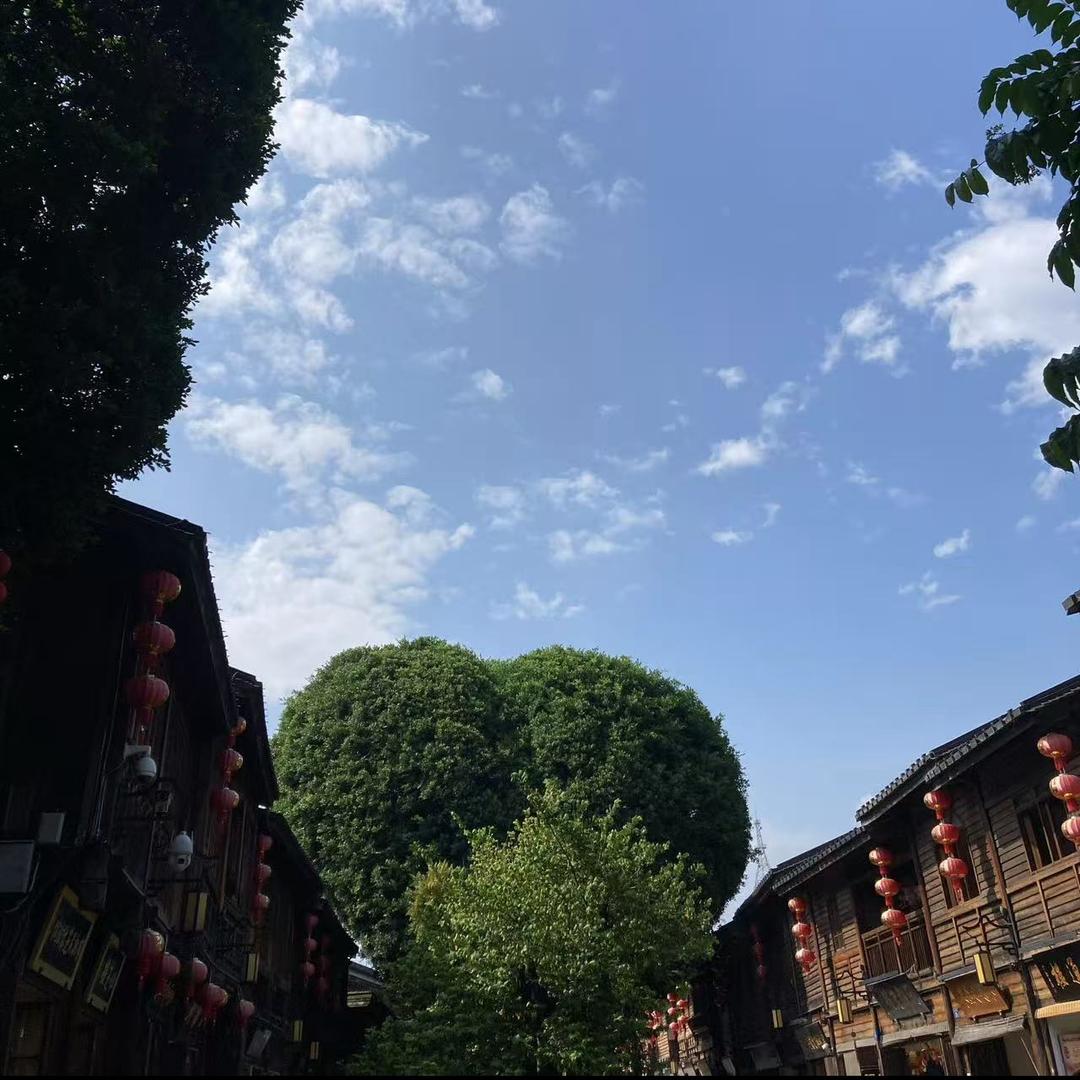 慕小小