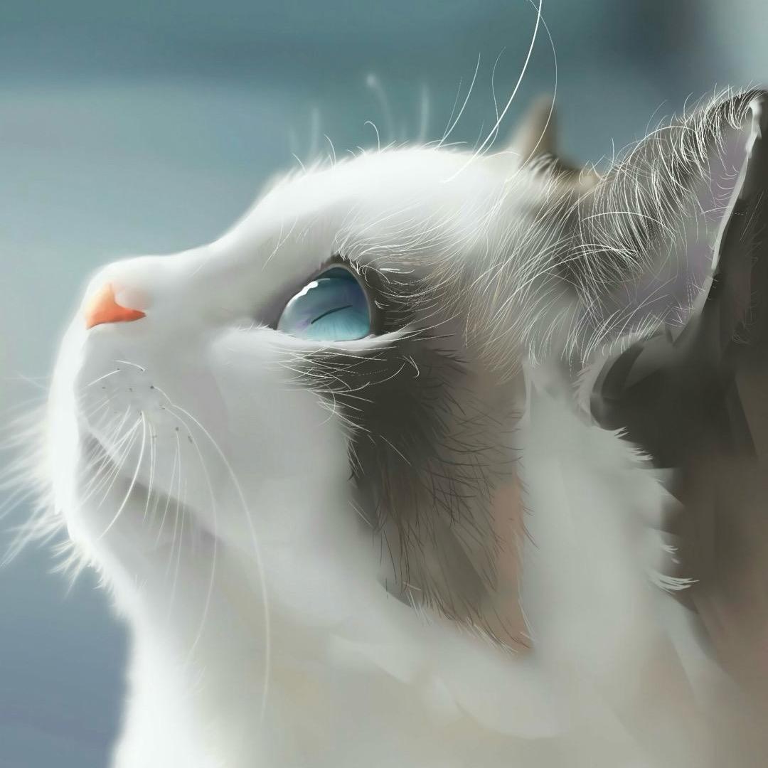 ՞⩌⌯⩌՞