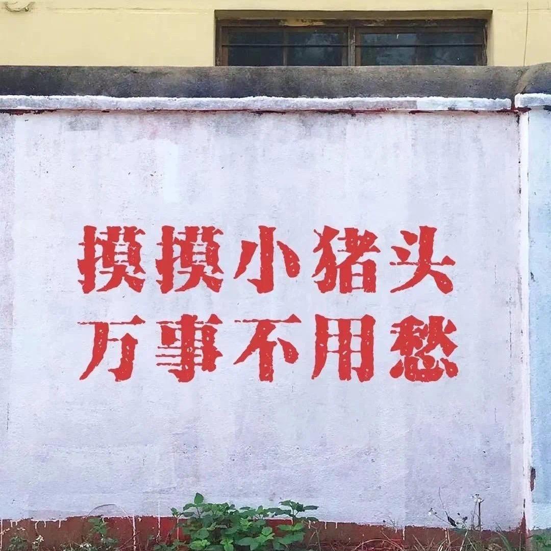 一饱饱