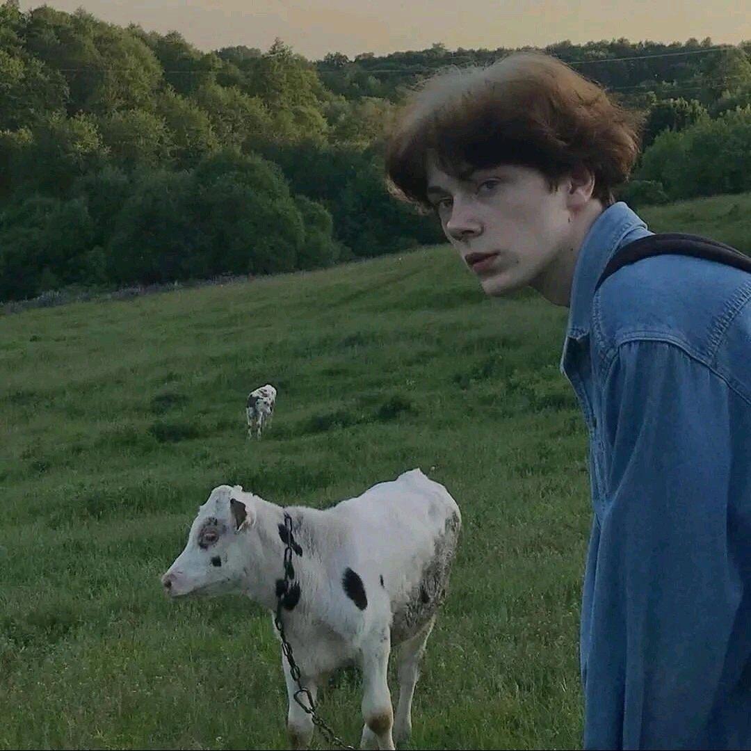 绝世会火的吴彦祖.