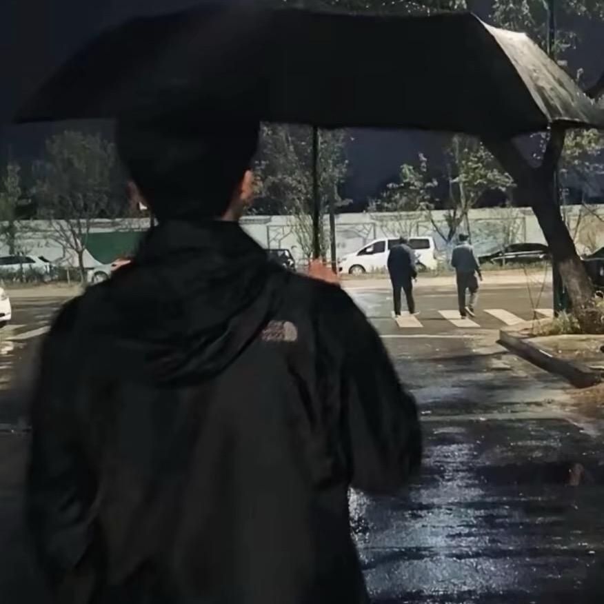 宠崽崽