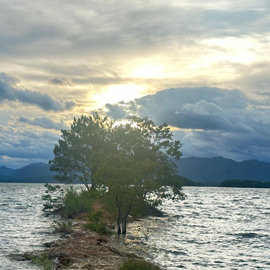 春天里的风☁️