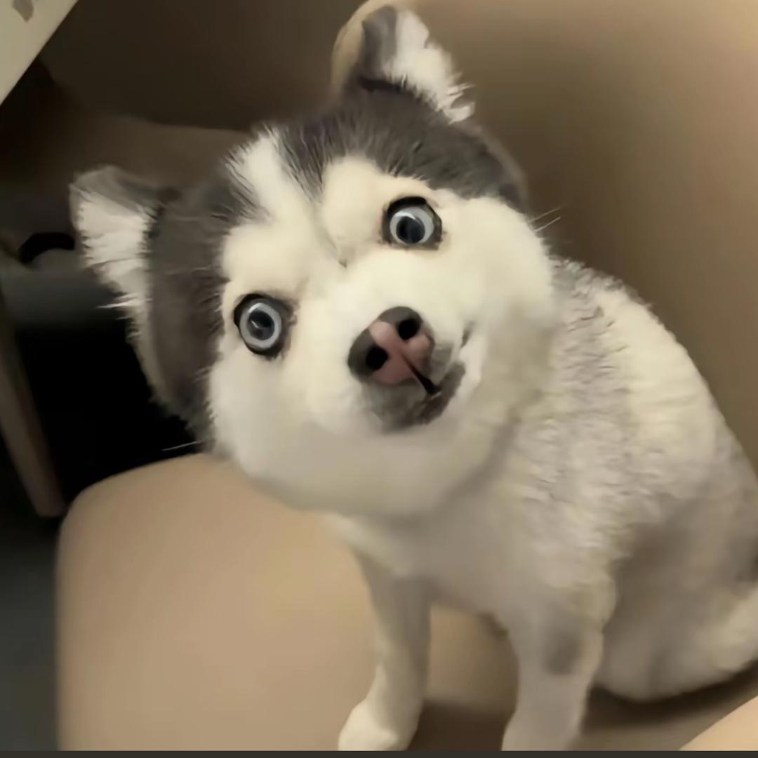 小木