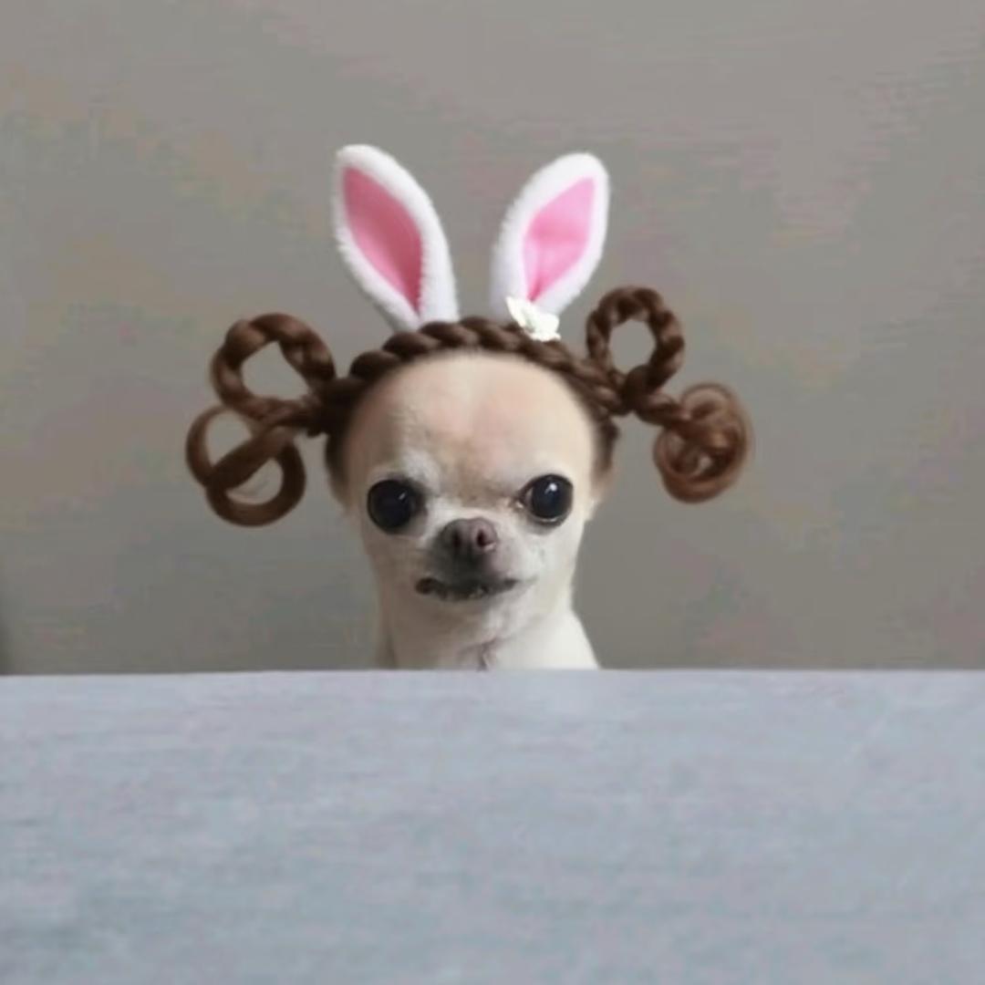 1504