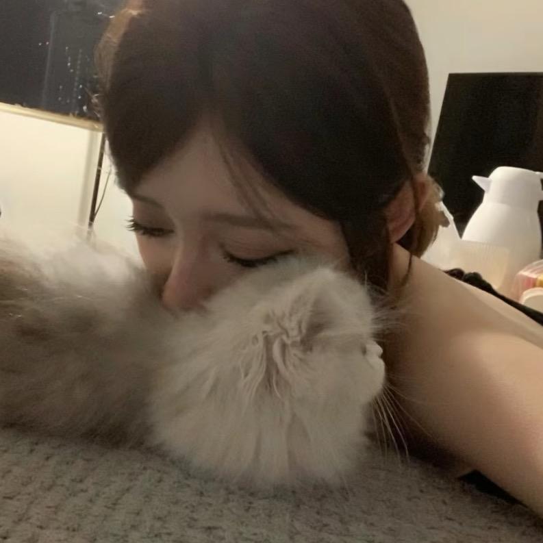 小猫把我减脂餐偷偷换成大米汉堡