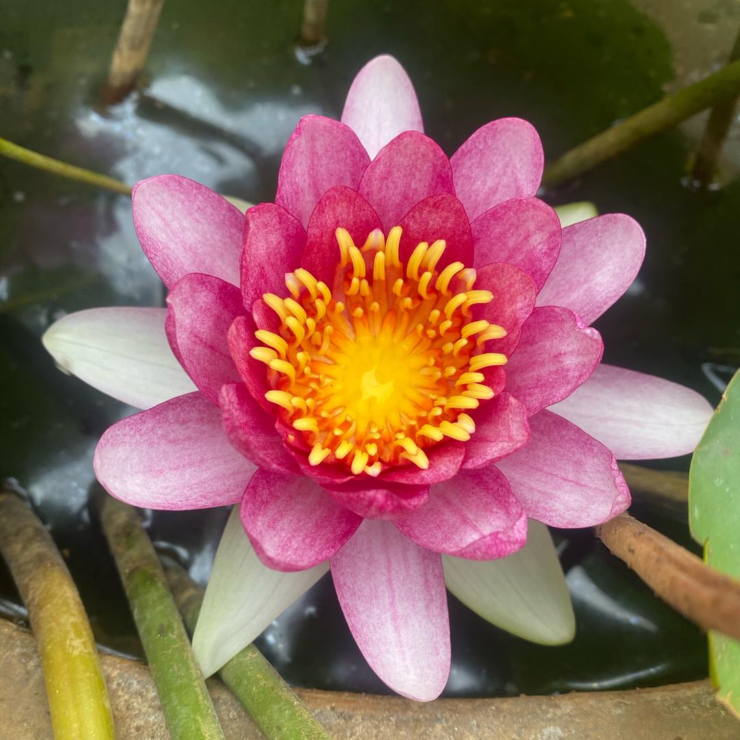 悠悠杰💫