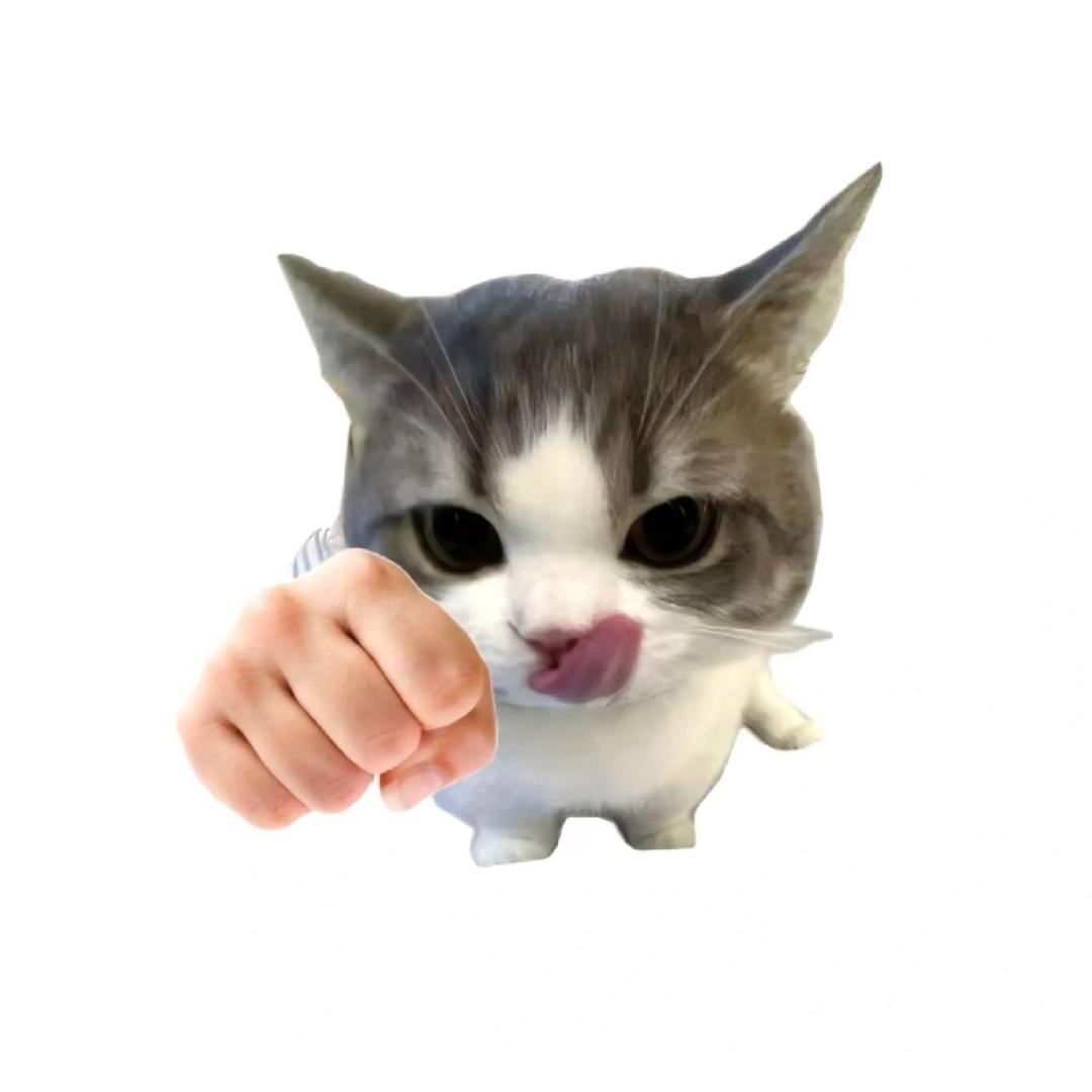 凌凌