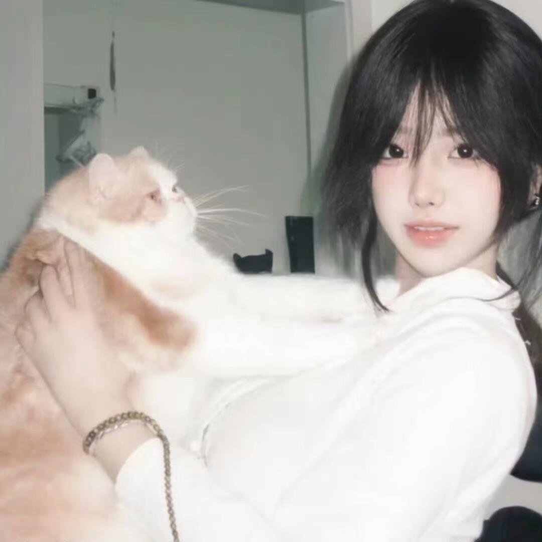 Lilycattt