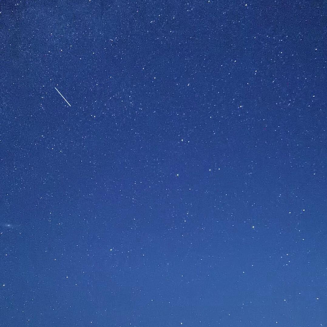 封麦