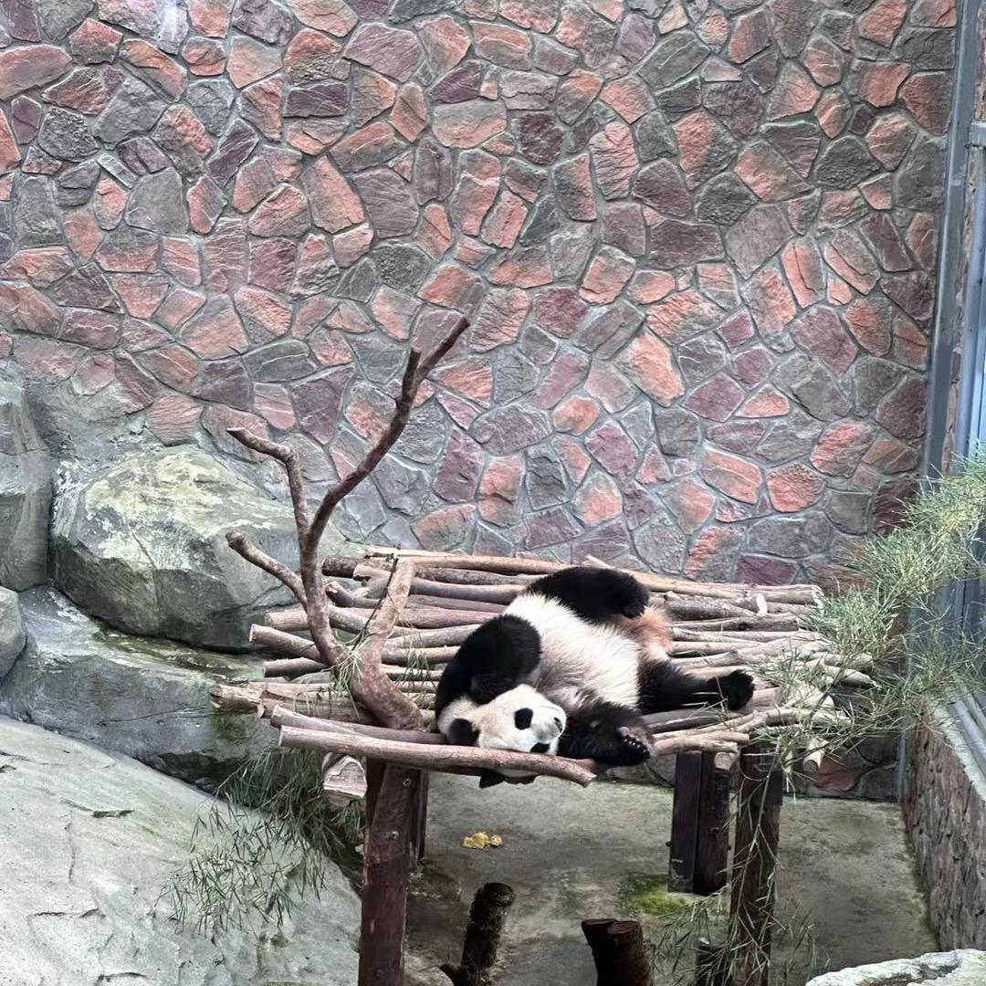 哈哈中奖了