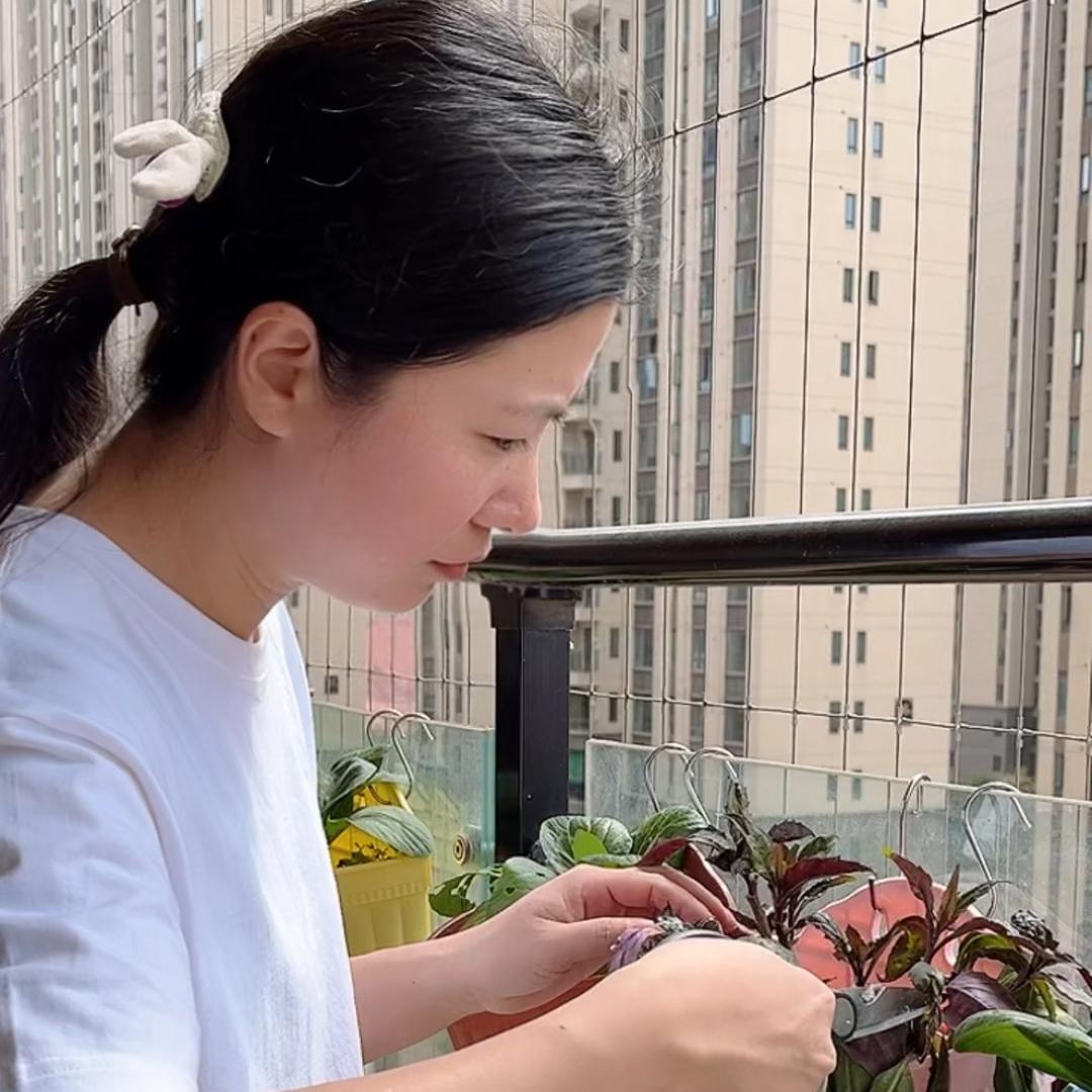 晓菁爱生活
