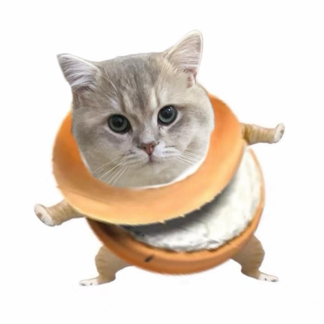 我烤火的时候不冷