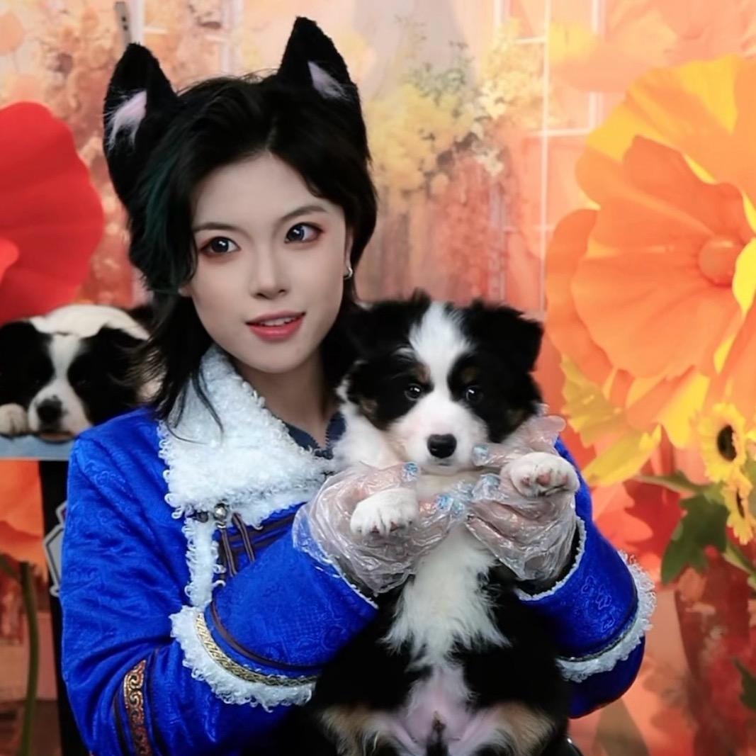 杨戬酱 （汪汪头子）