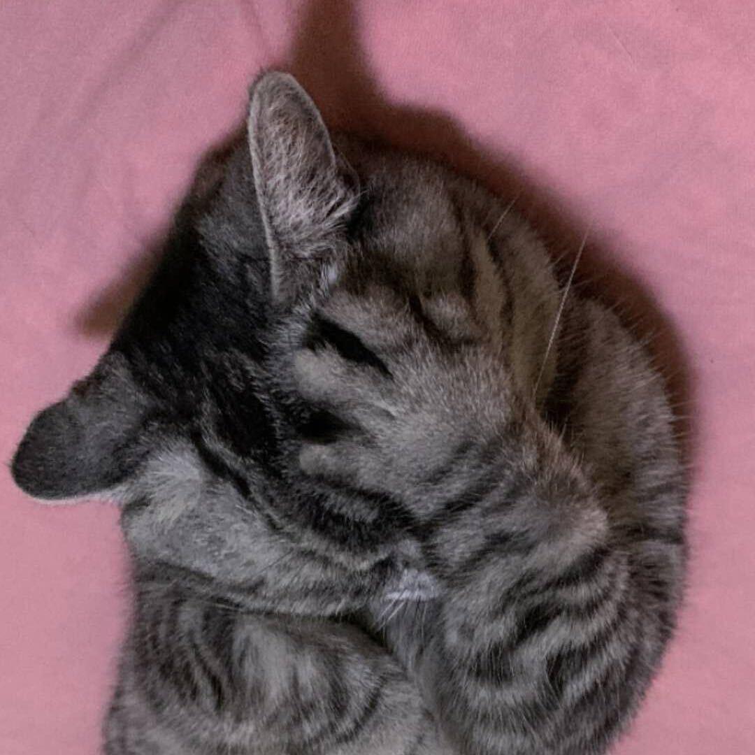 我谁啊飘🐾 ¹¹⁰⁸