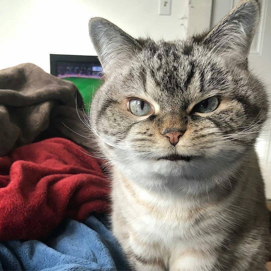 ⛅️啊哈