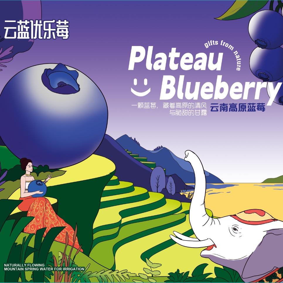 云蓝优乐莓农场