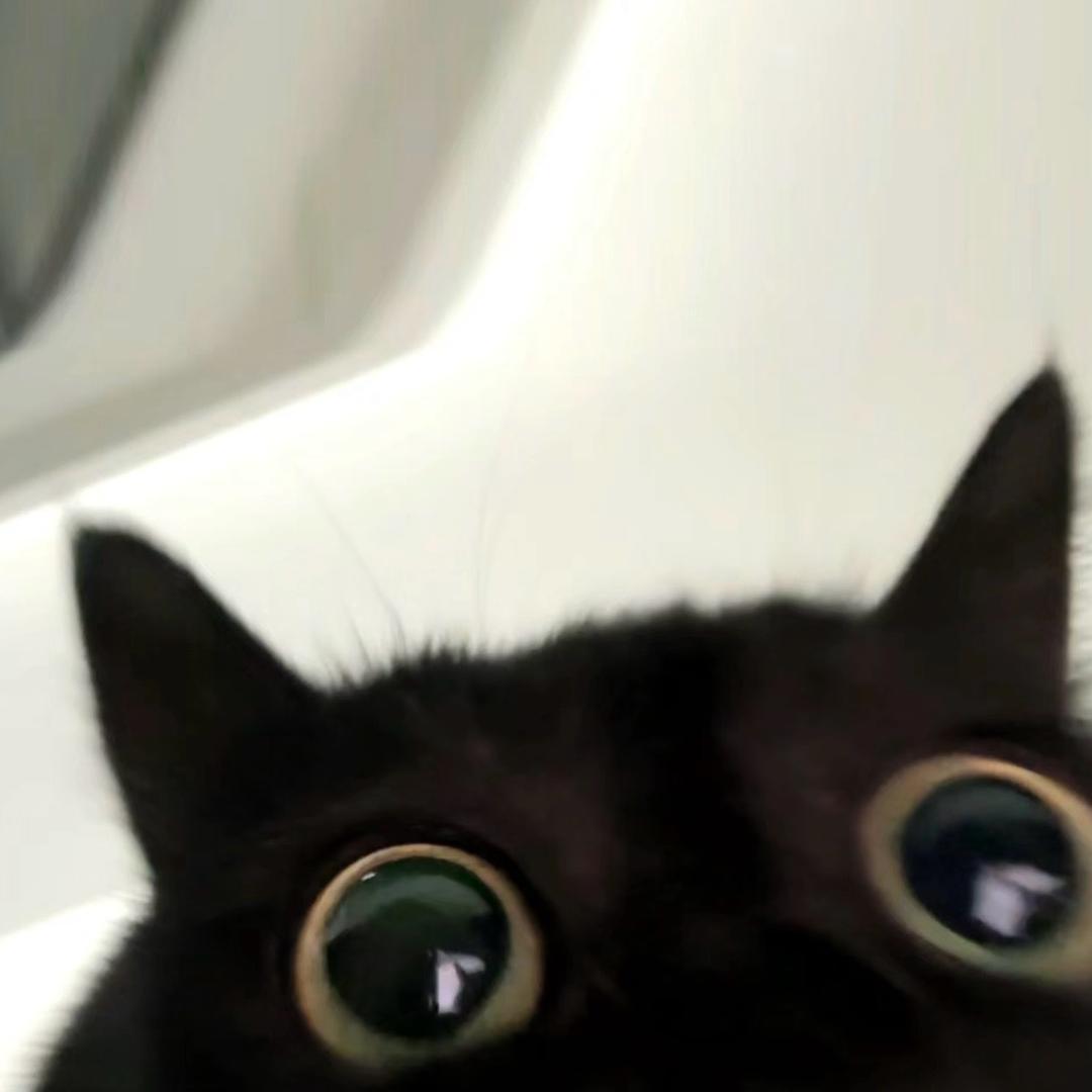 强子w