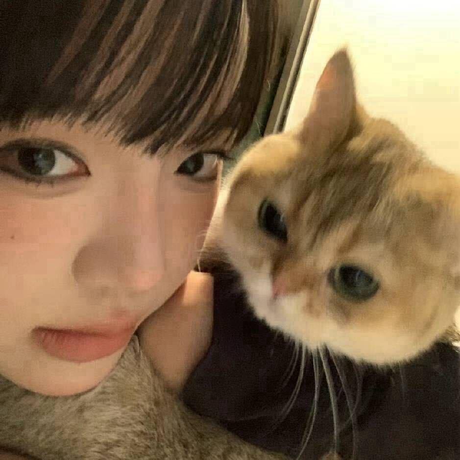 伊利莎莎白