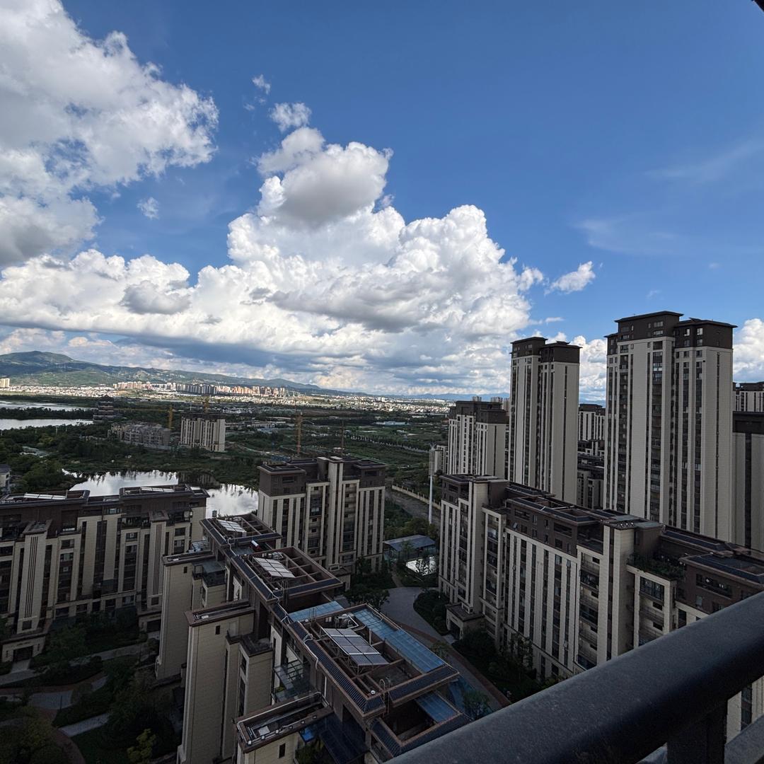 云M买房小张帮忙