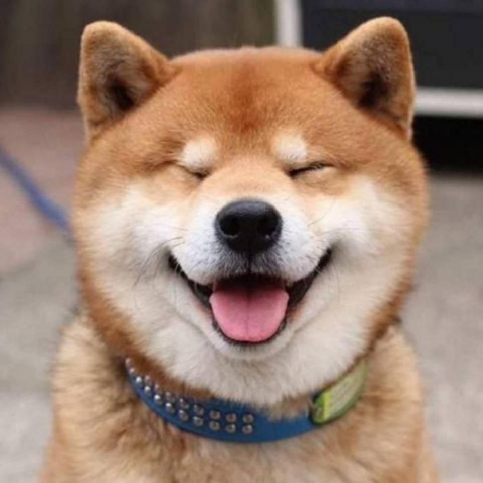 盖小盖