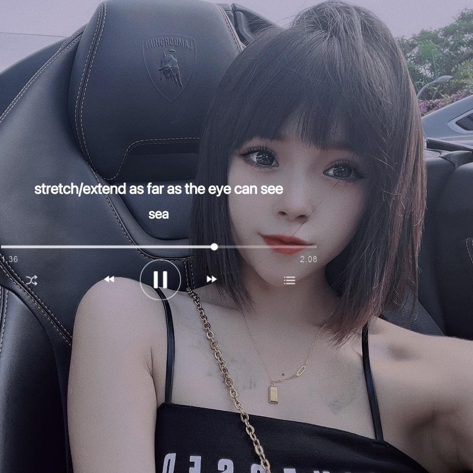 点宝儿