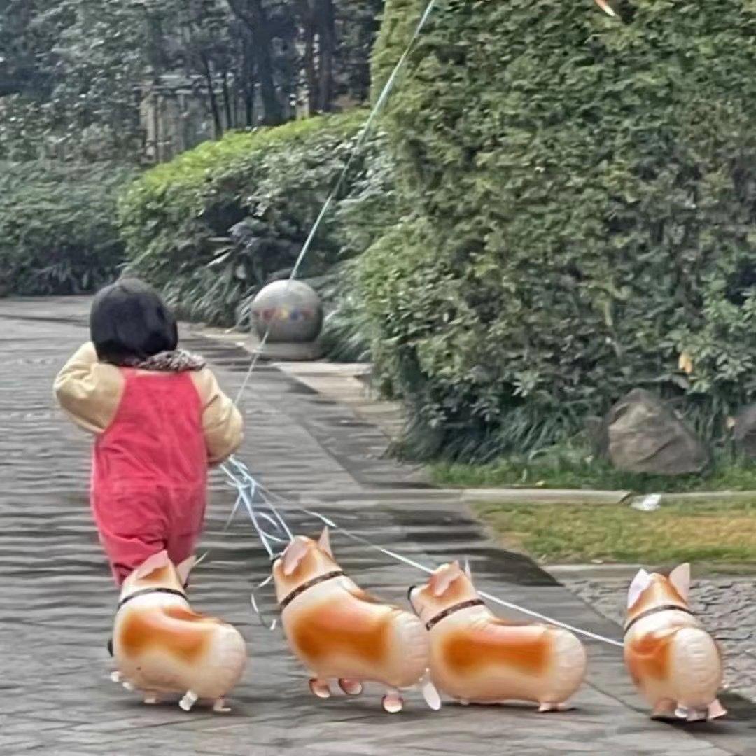 Lucian的朋友圈