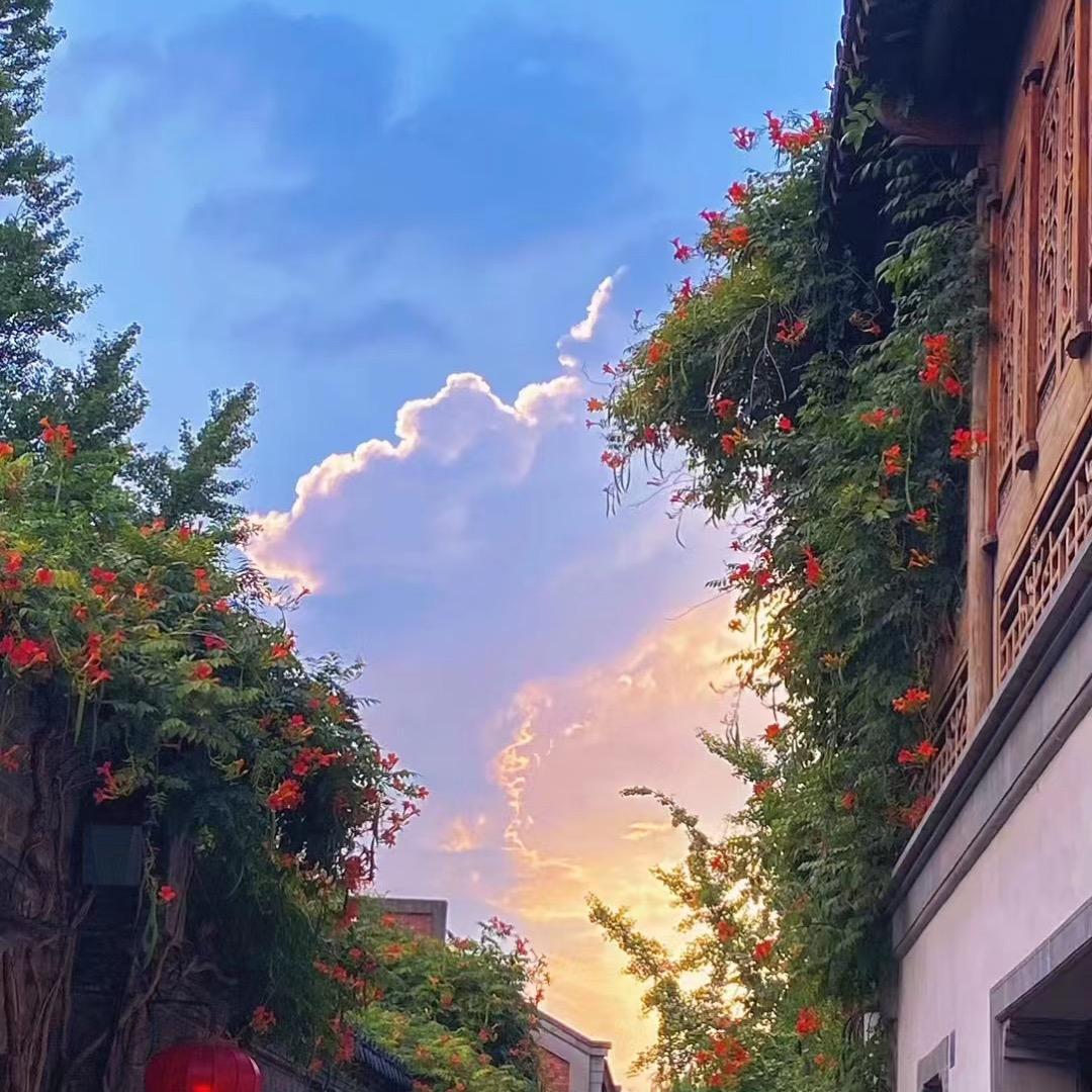 文文爱吃秀逗糖