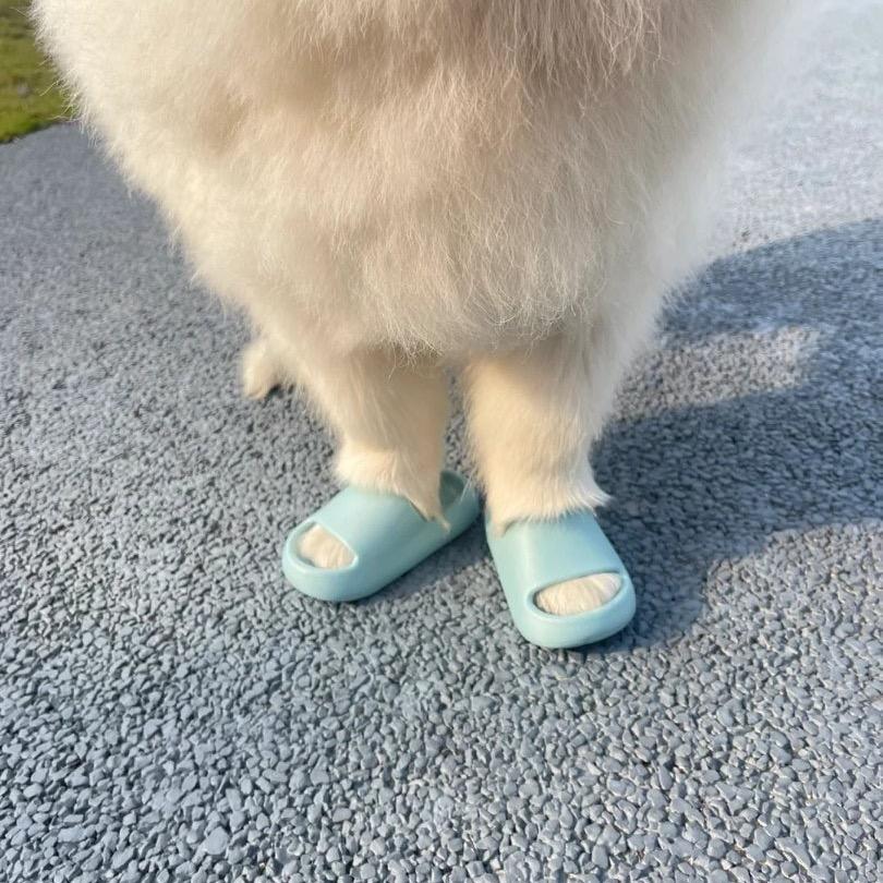 小蜜蜂温嗡嗡