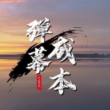 大鸿~讲弹幕聊团队