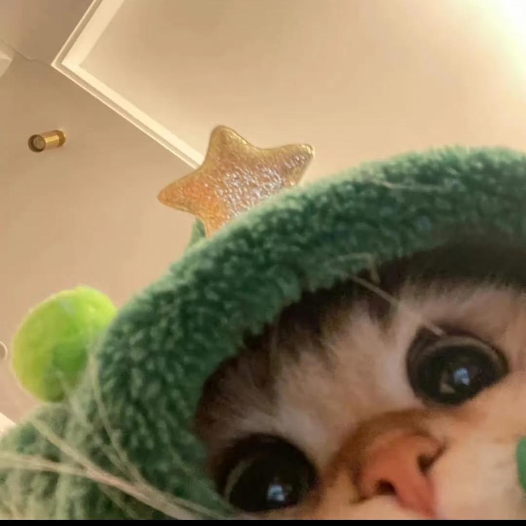 姜酒一下吧～