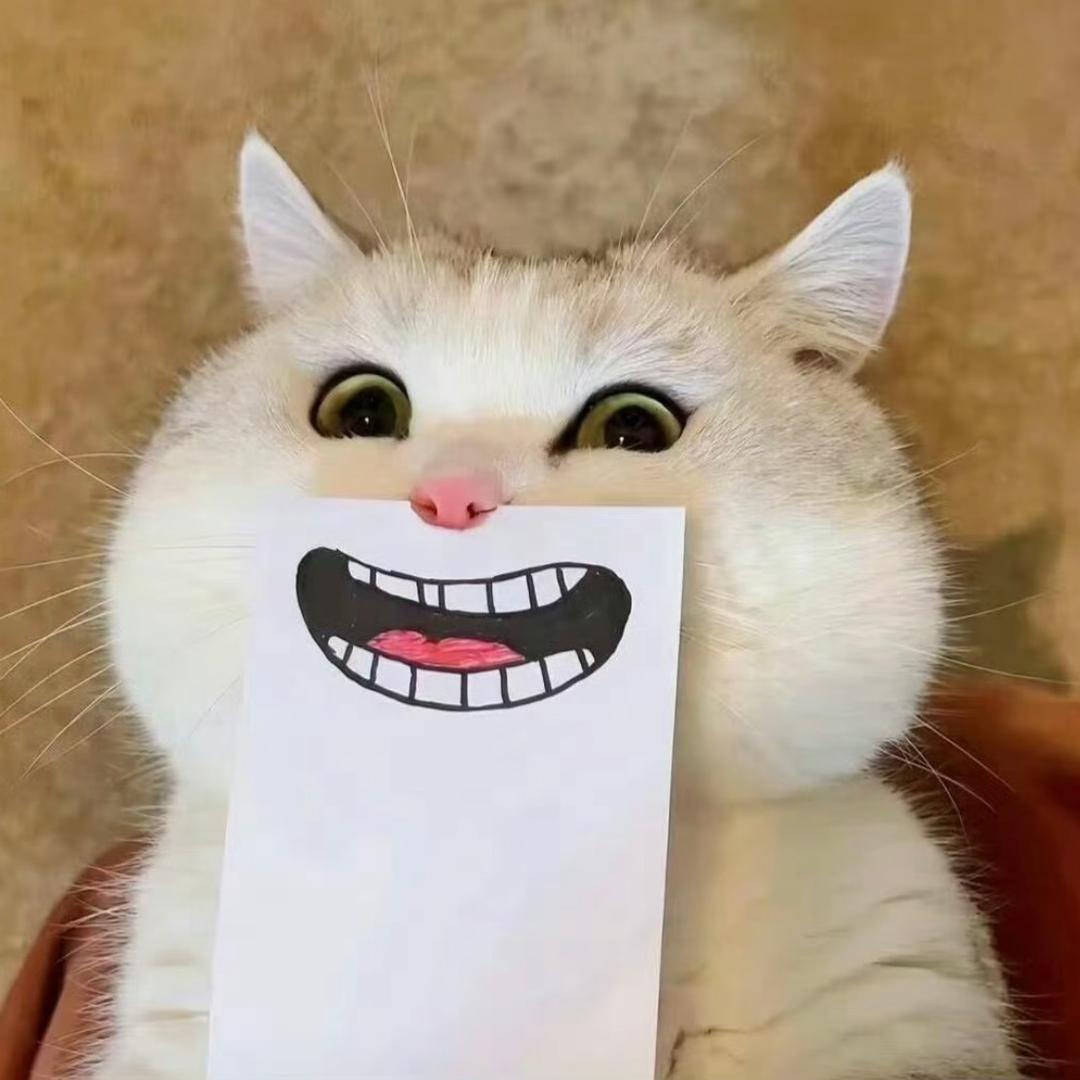 一周困八天ᥫᩣ