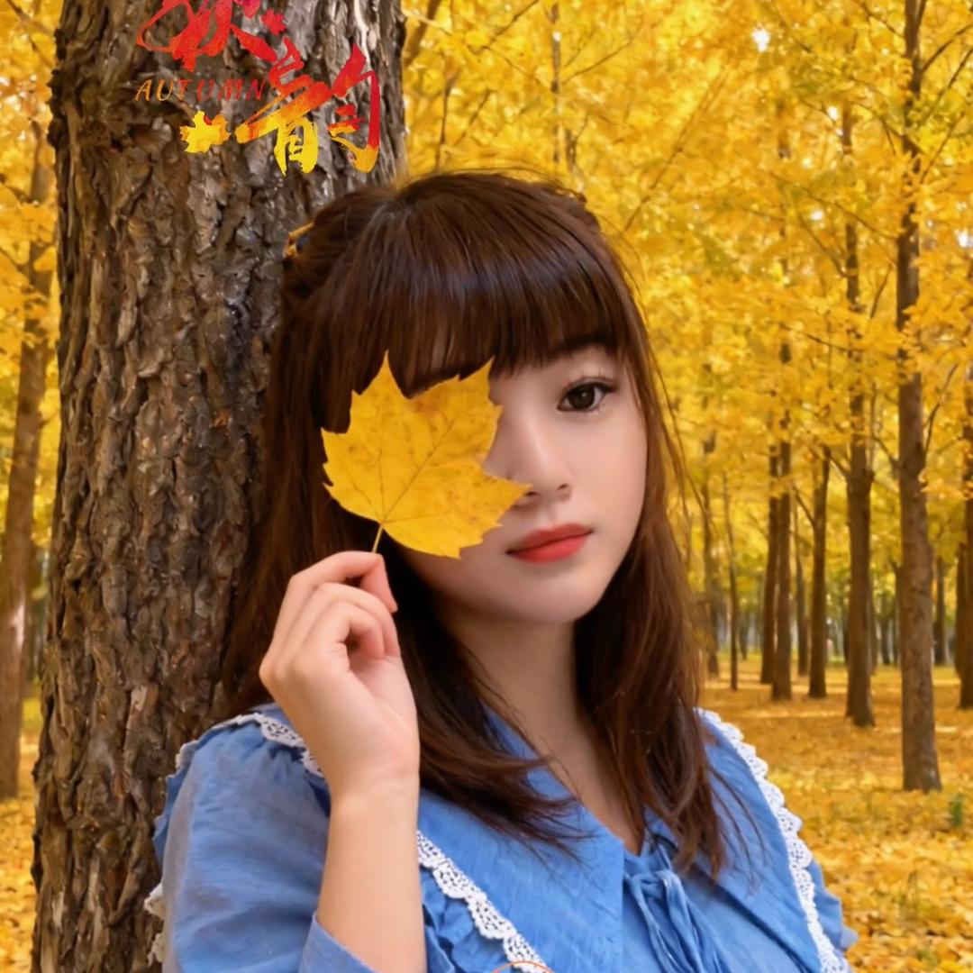 🌹雪花飘飘🌹