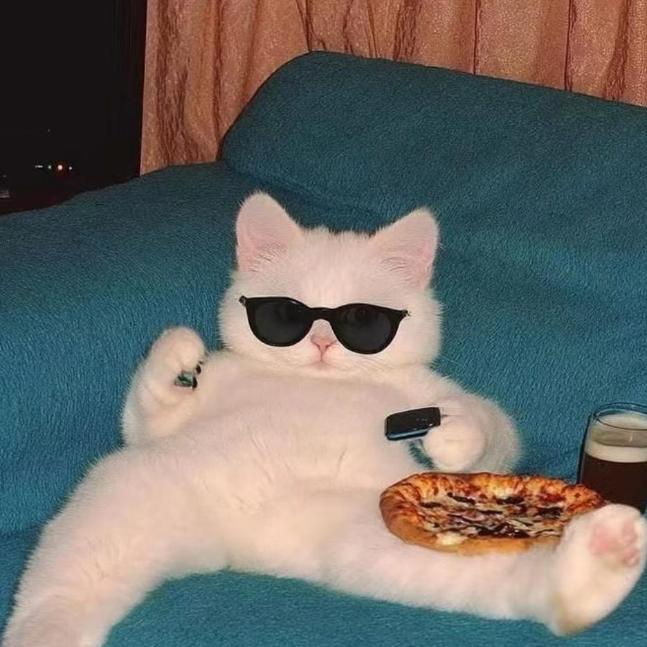 泽启天天潮玩屋