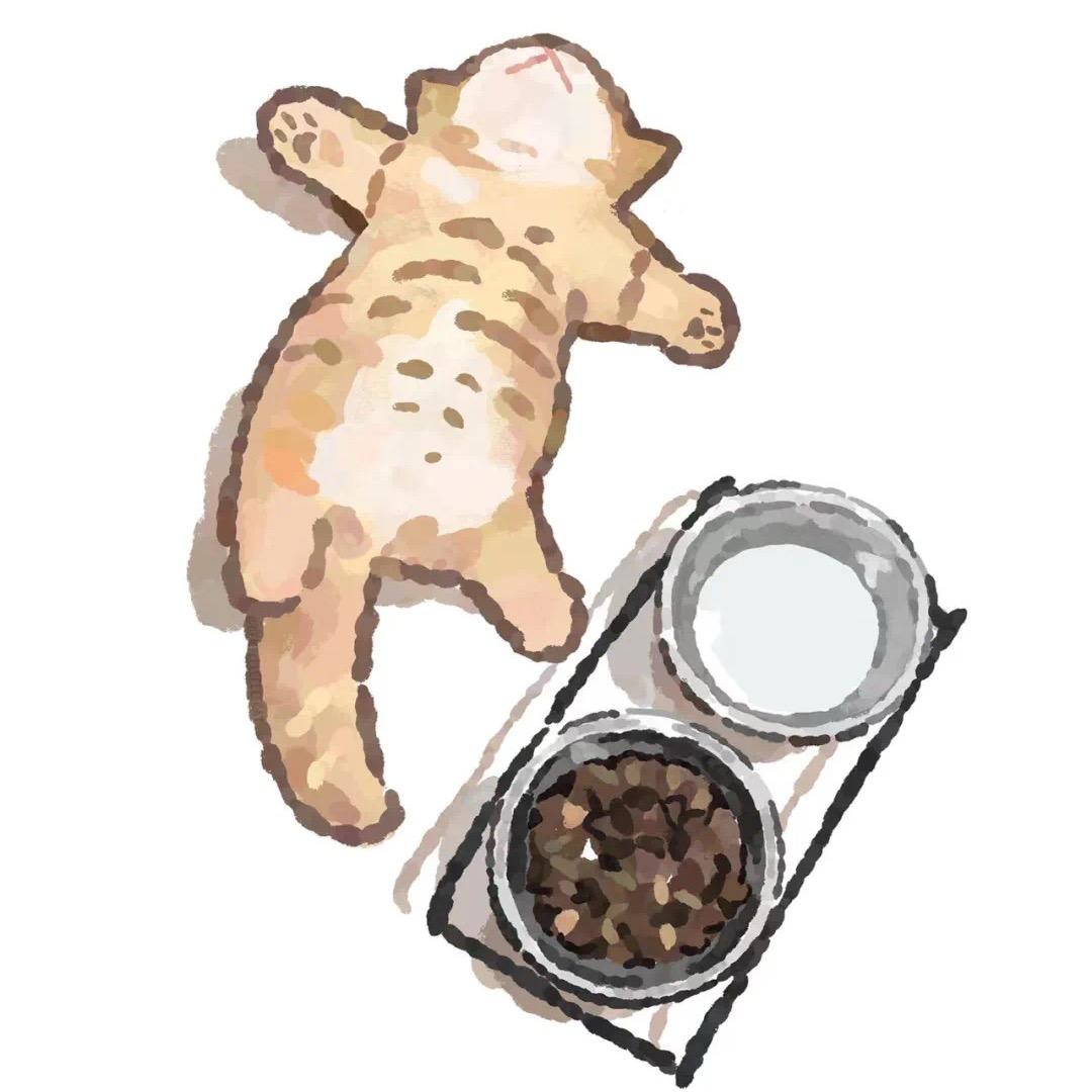 CHUNG