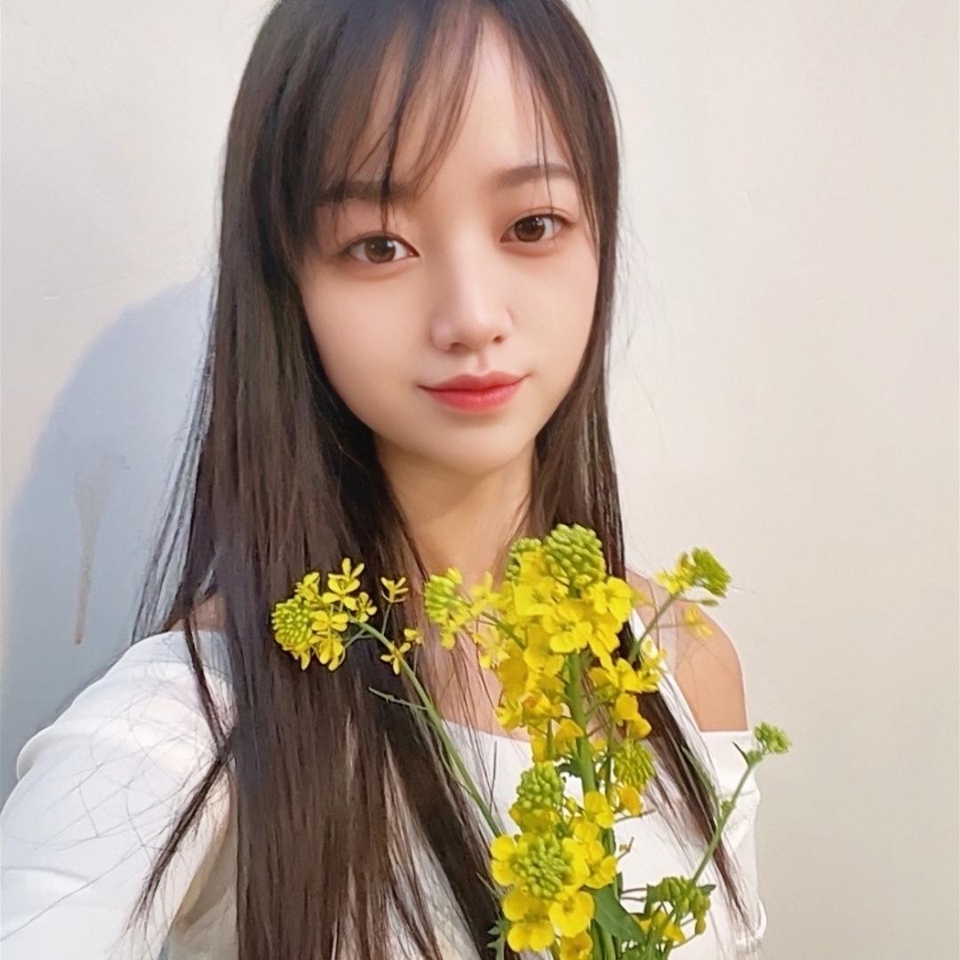 云南美美