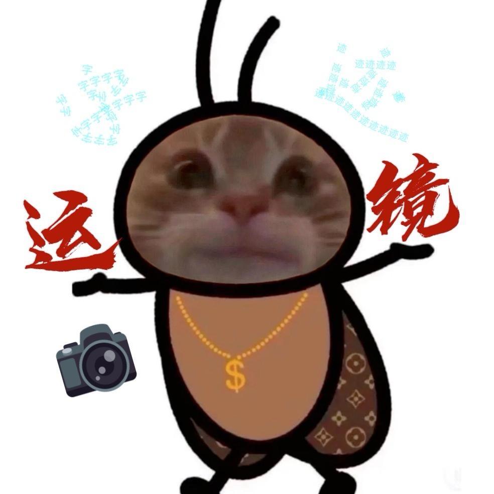 字迹p