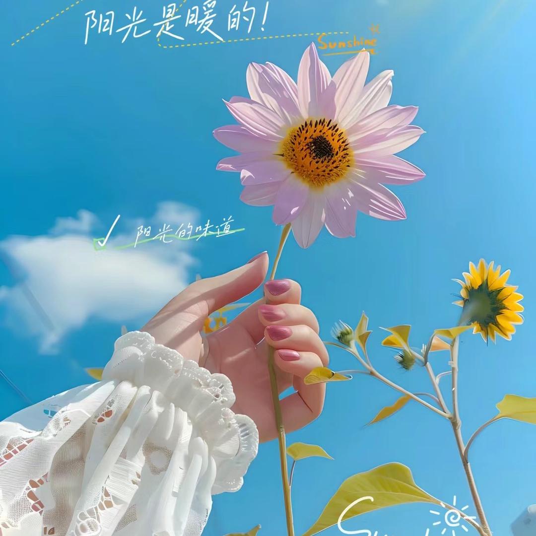 皮卡丘。