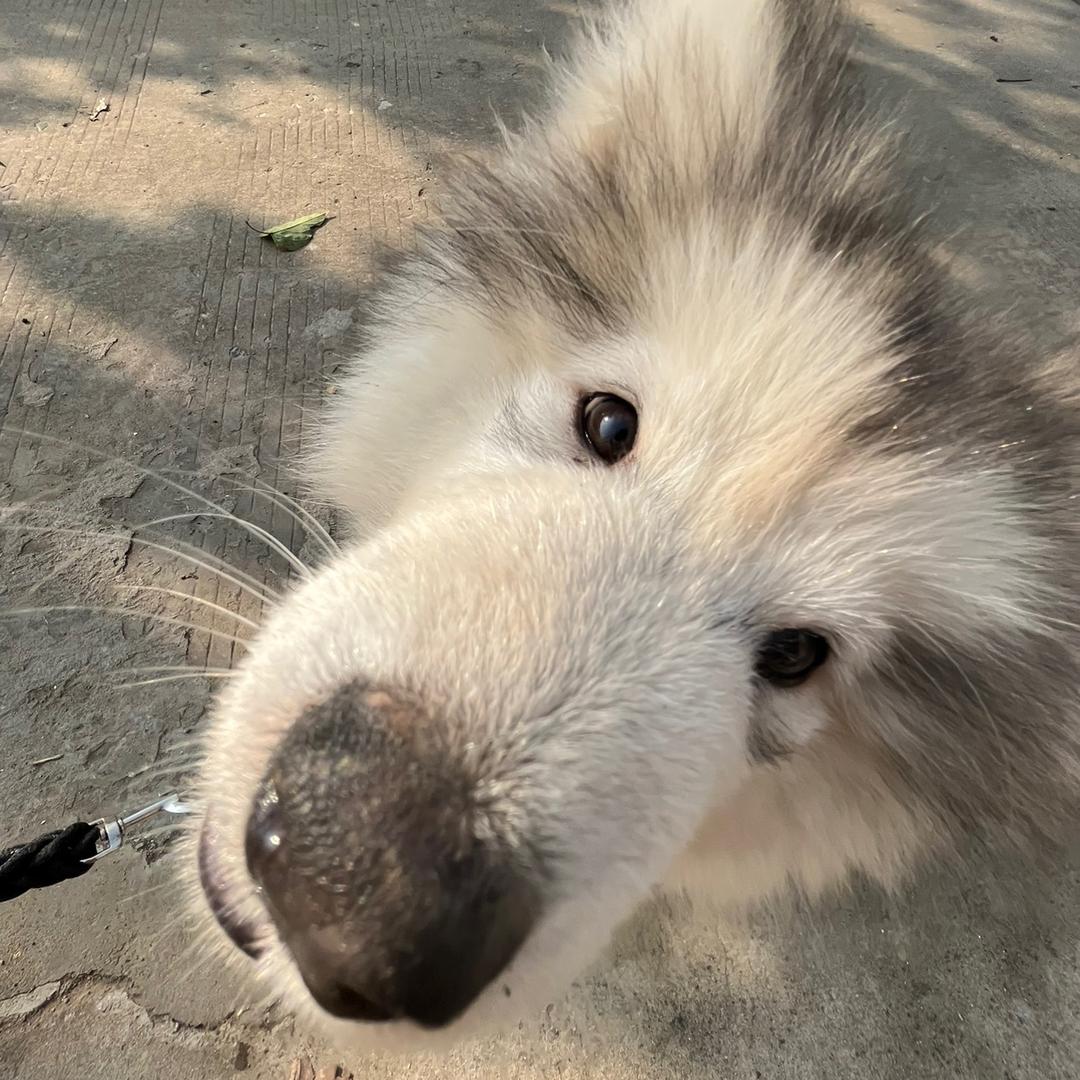 顺亦生活