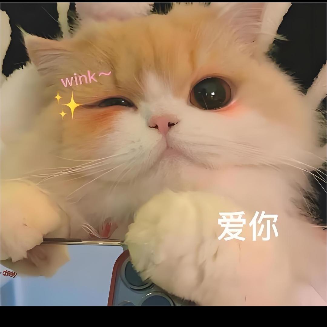 蔡阿姨